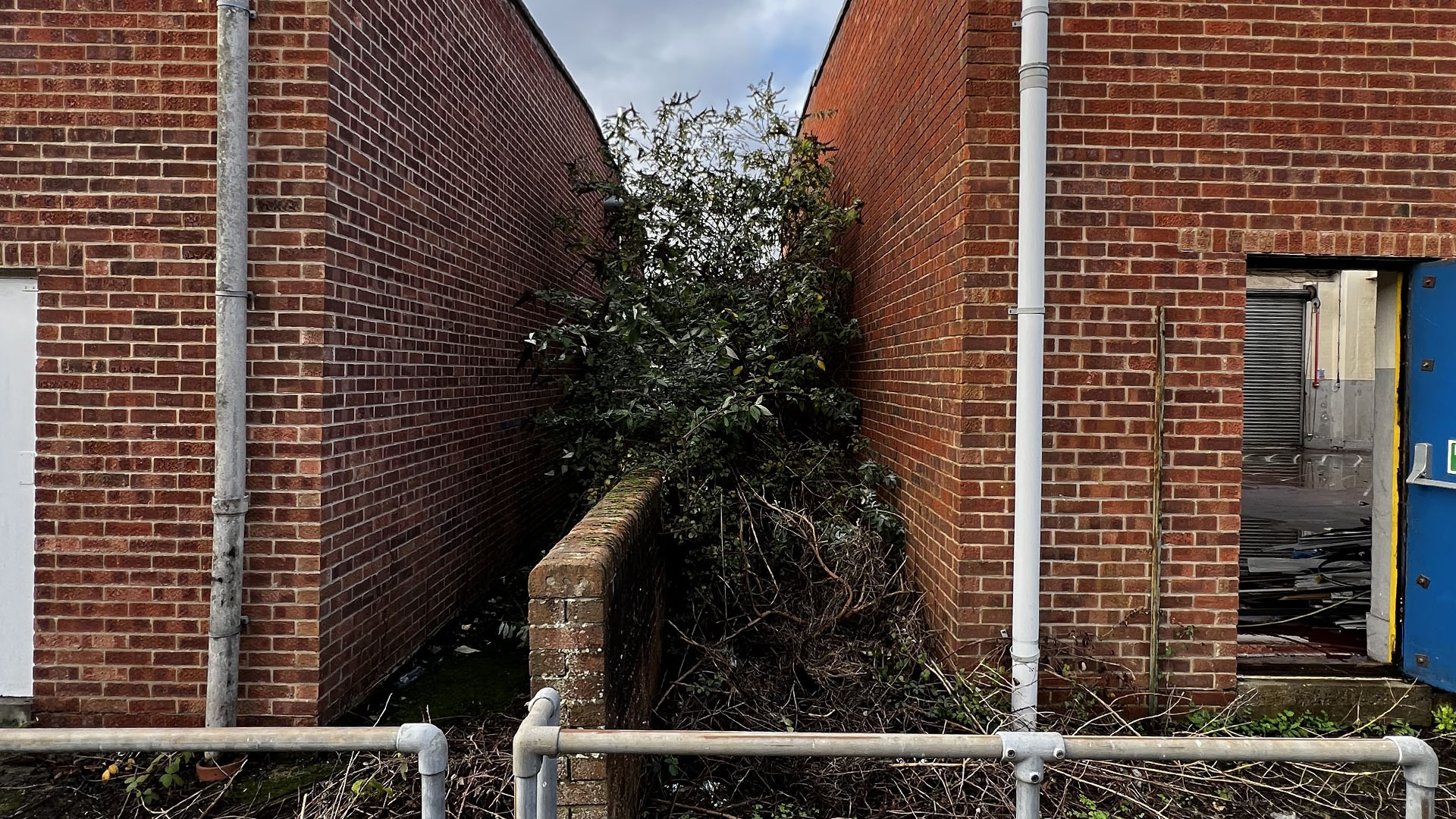 Who Should You Contact First — The Council, a Surveyor, or Your Neighbour Telford?